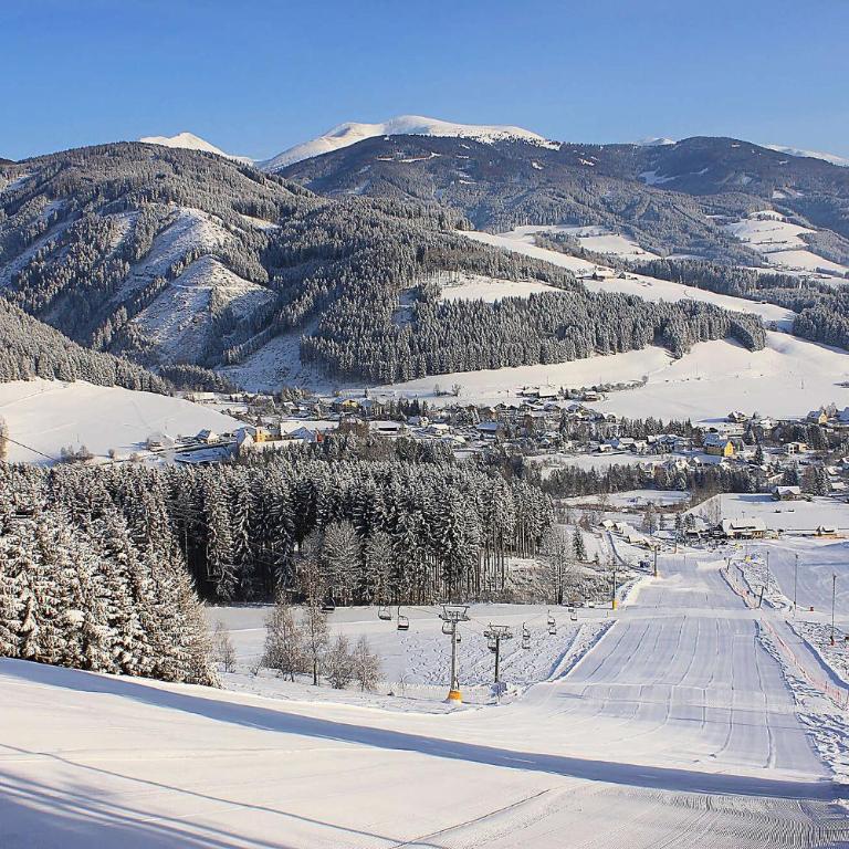 Apartment near Red Bull Ring - Apartment mit 1 Schlafzimmer und Balkon - 39