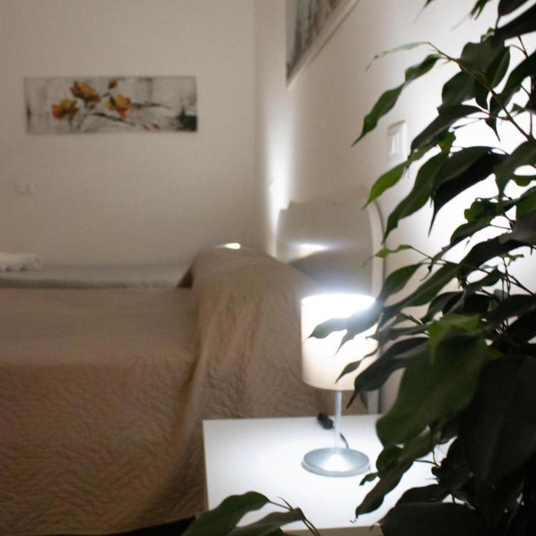 Civico 513 Apartments Centro, Lungomare e Self Check-in - Apartment - Ground Floor - 8