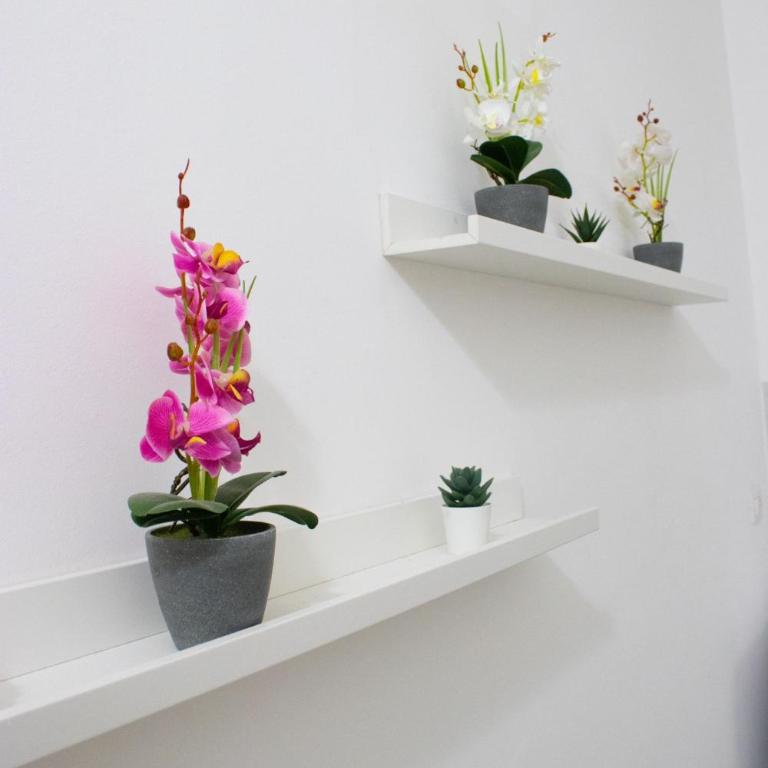 Civico 513 Apartments Centro, Lungomare e Self Check-in - Apartment - Ground Floor - 15