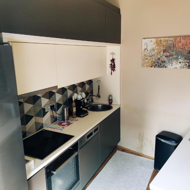 Nirvana apartment - Apartman sa 1 Spavaćom Sobom - 24
