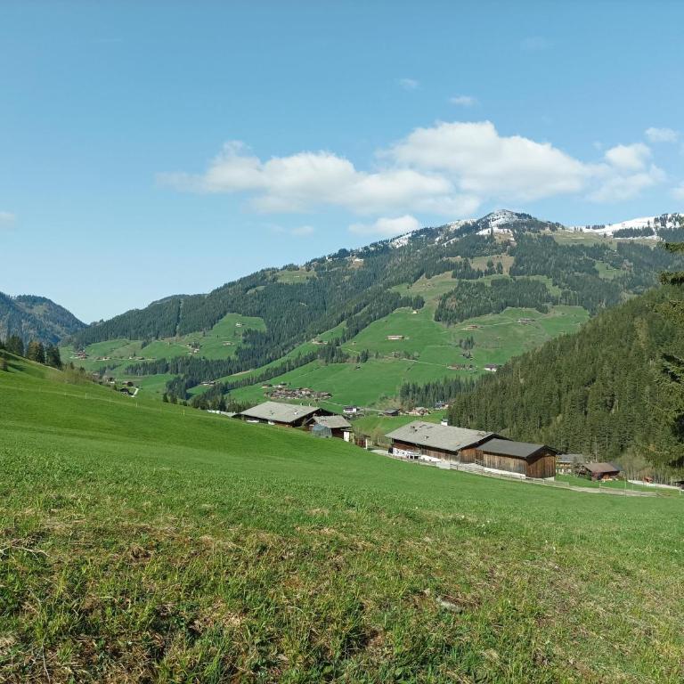 Ferienwohnung Innergreit - Apartment mit Blick auf die Berge - 7