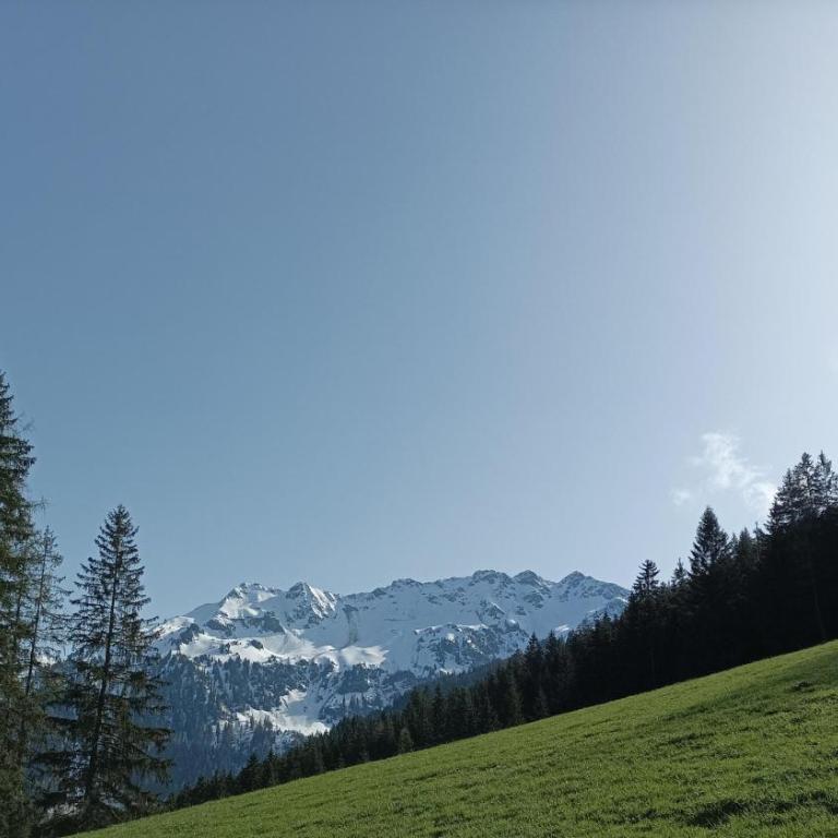 Ferienwohnung Innergreit - Apartment mit Blick auf die Berge - 36