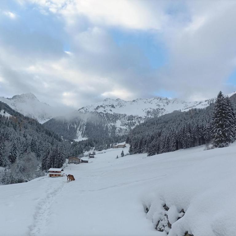 Ferienwohnung Innergreit - Apartment mit Blick auf die Berge - 37