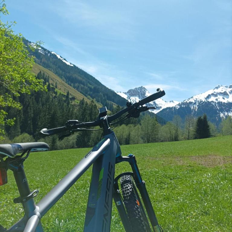Ferienwohnung Innergreit - Apartment mit Blick auf die Berge - 38