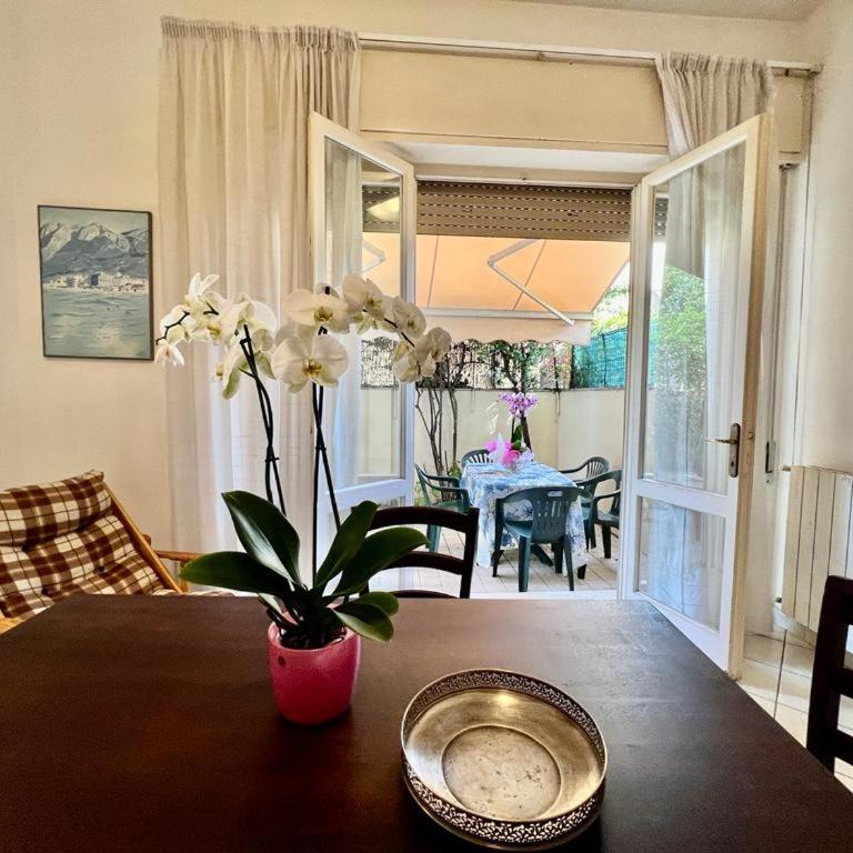 Viareggio on the Beach - Apartment - Appartamento con 2 Camere da Letto - 36
