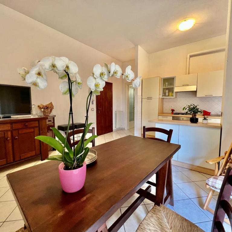 Viareggio on the Beach - Apartment - Appartamento con 2 Camere da Letto - 38