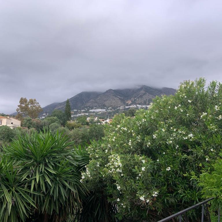 Apartment Casa Casandra , Urbanisation Dona Pilar - beautiful, peaceful & tranquil - Apartamento de 1 dormitorio - 61