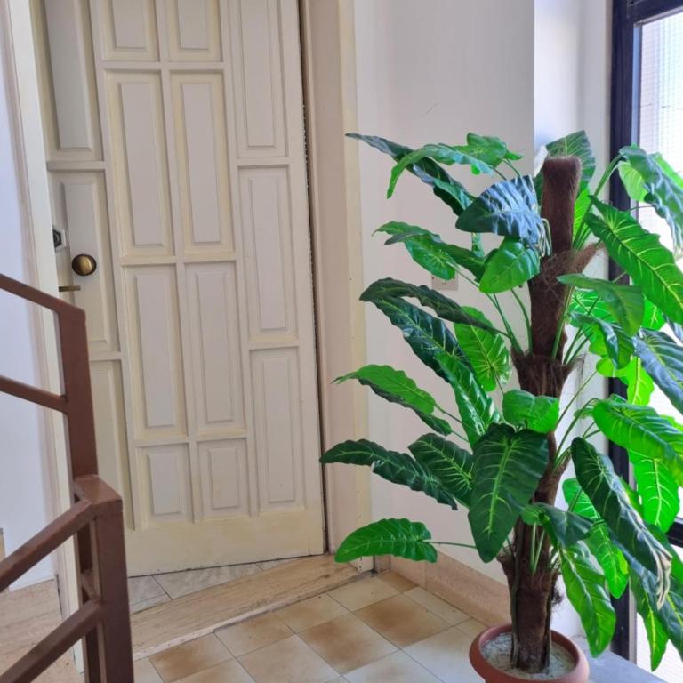 Residenza acqua marina in baia verde - Appartamento con 2 Camere da Letto - 33