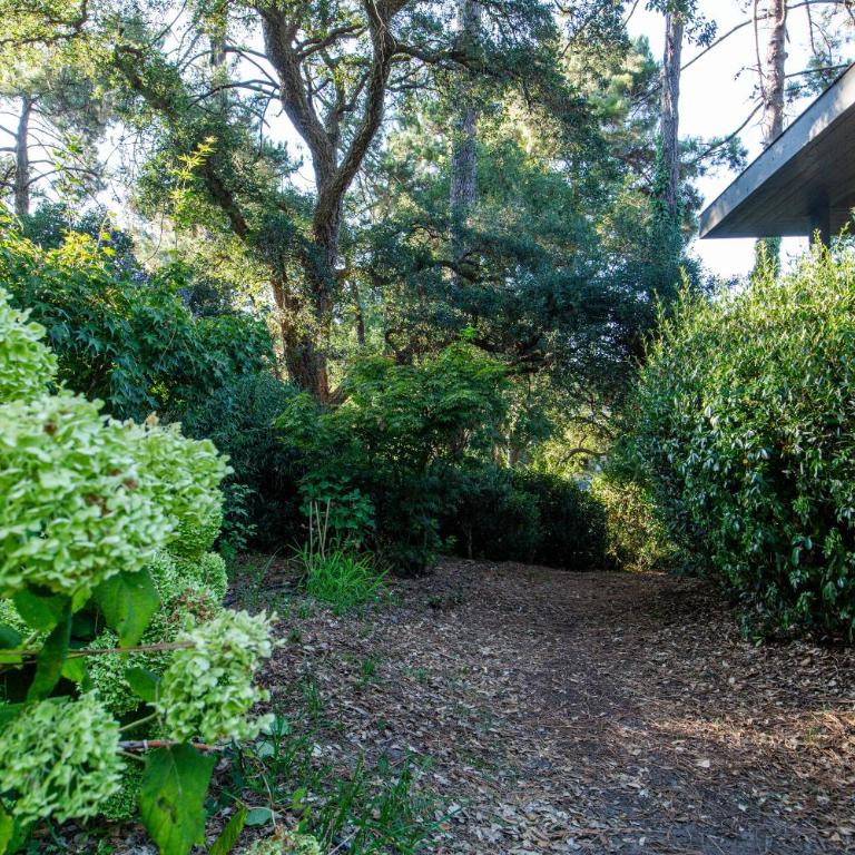 Villa AMANJANGO SEIGNOSSE-HOSSEGOR - Suite Junior - Vue sur Jardin - 3