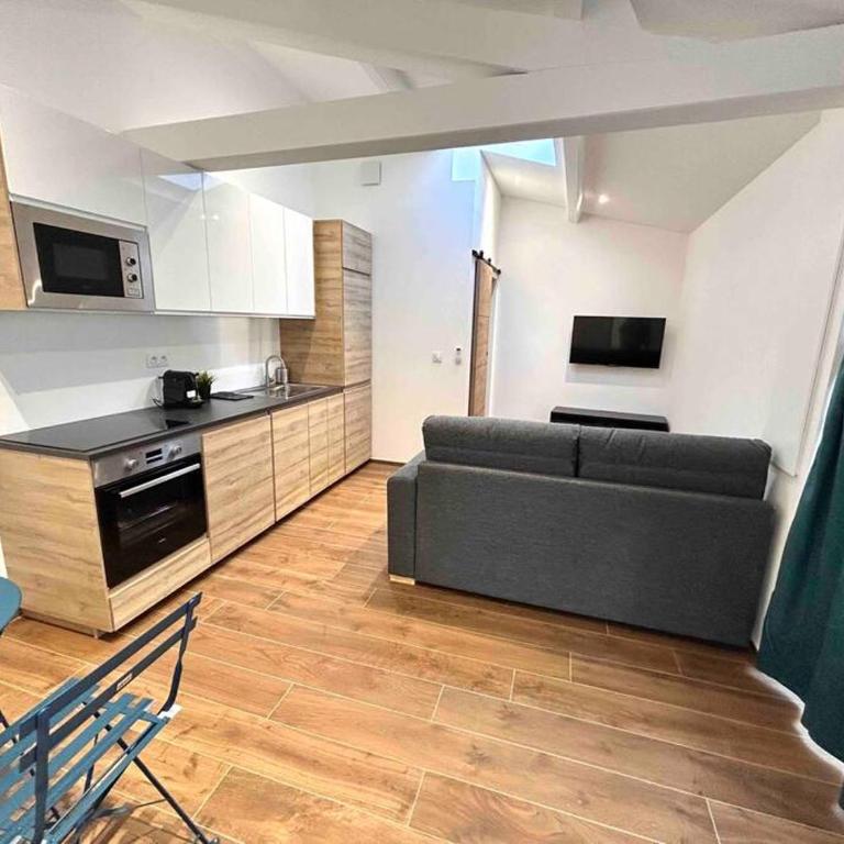 Carina- 2-4 pers- Standing Hyper centre climatisé - Apartment mit 1 Schlafzimmer - 11