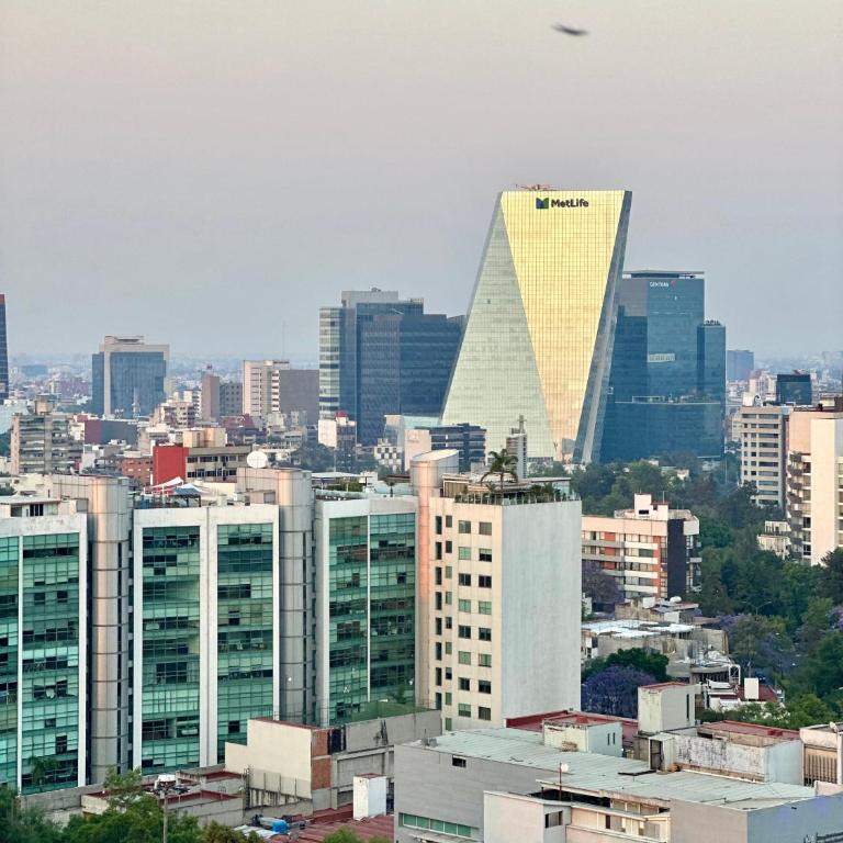 Mi Zona Lodging San Ángel - One-Bedroom Apartment with City View - 6