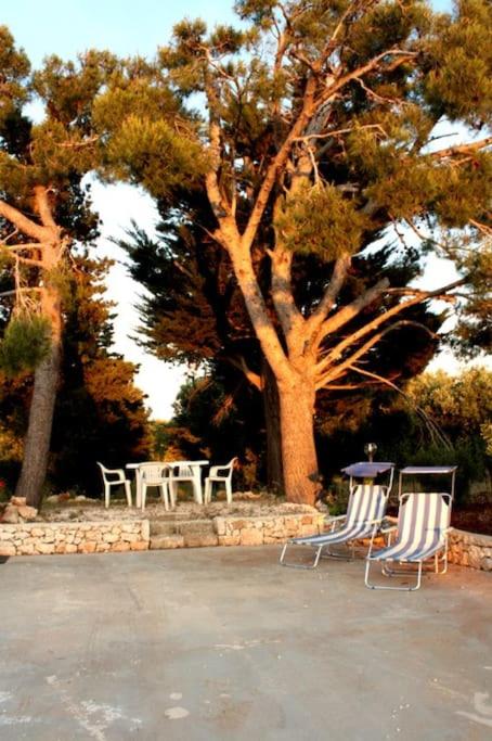 Affittasi Trullo il Gelso - Ostuni - Casa con 2 Camere da Letto - 11