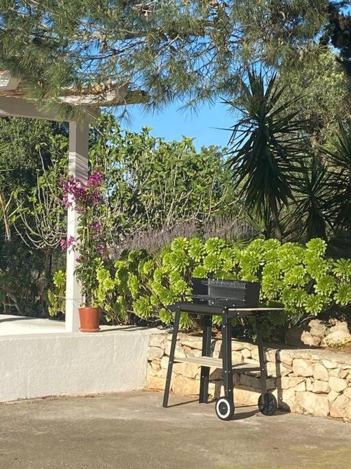 Affittasi Trullo il Gelso - Ostuni - Casa con 2 Camere da Letto - 13