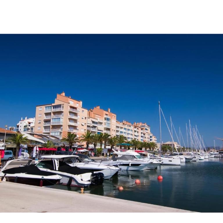studio avec terrasse port de hyeres - Apartment mit 1 Schlafzimmer - 3