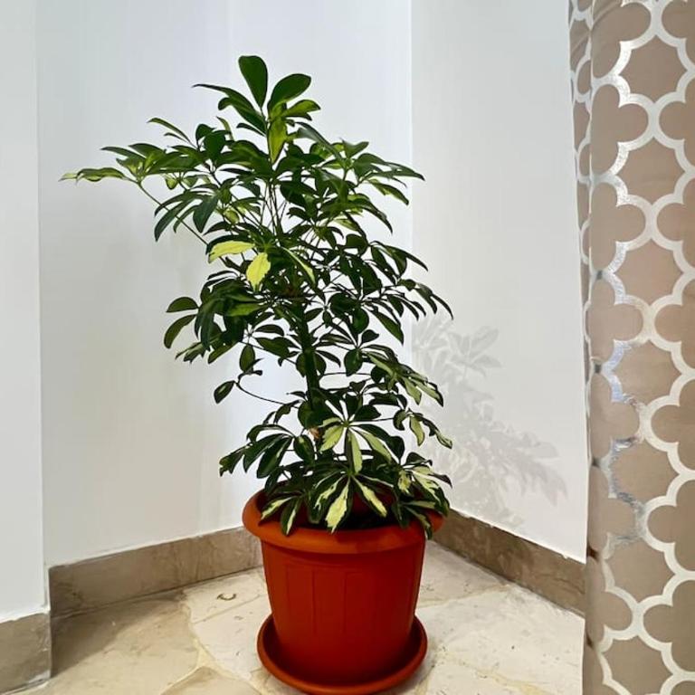 New and elegant apartment on the Navigli Netflix e Disney - Appartamento - 35