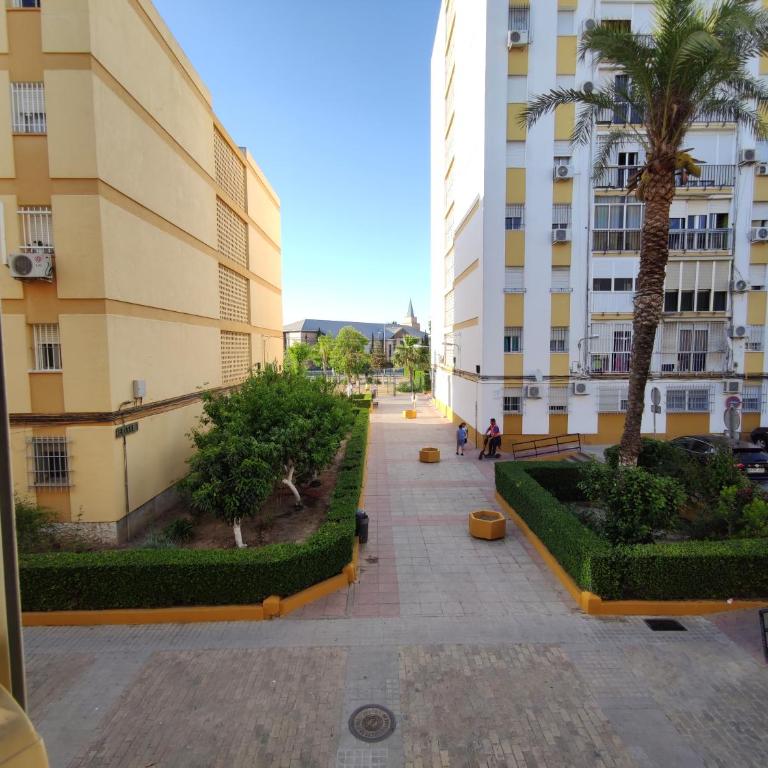 Apartamento Celia - Apartamento de 2 dormitorios - 24
