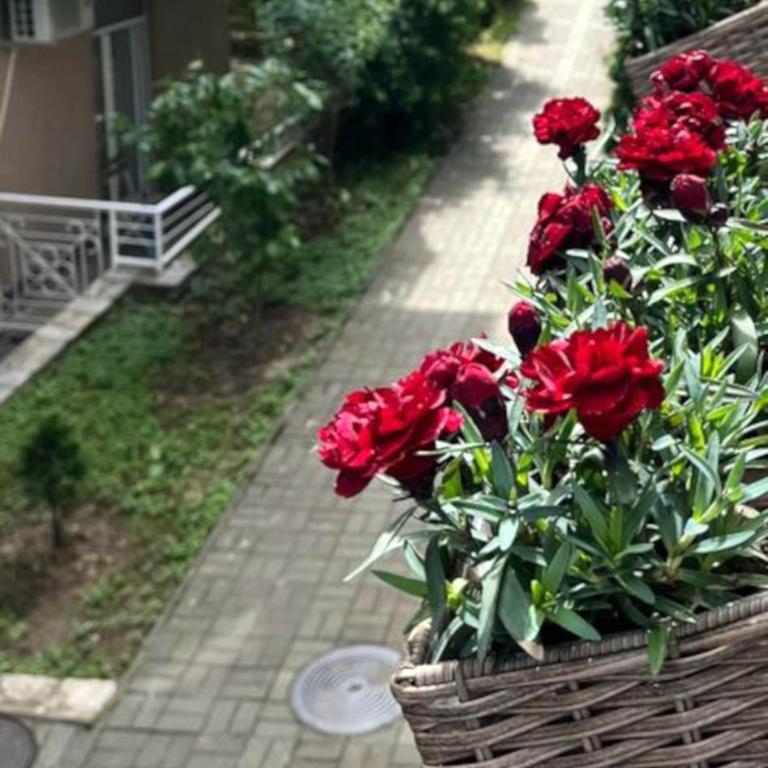 Apartment, Vrnjacka-Banja, Raj - Apartman sa 1 Spavaćom Sobom - 2