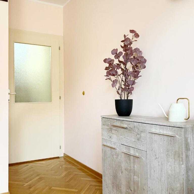 Apartment, Vrnjacka-Banja, Raj - Apartman sa 1 Spavaćom Sobom - 7