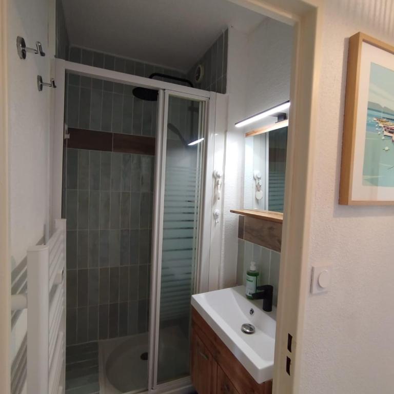 Mimi&Cosy, appartement vue mer à Six-Fours-les-plages - Apartment mit 1 Schlafzimmer - 14