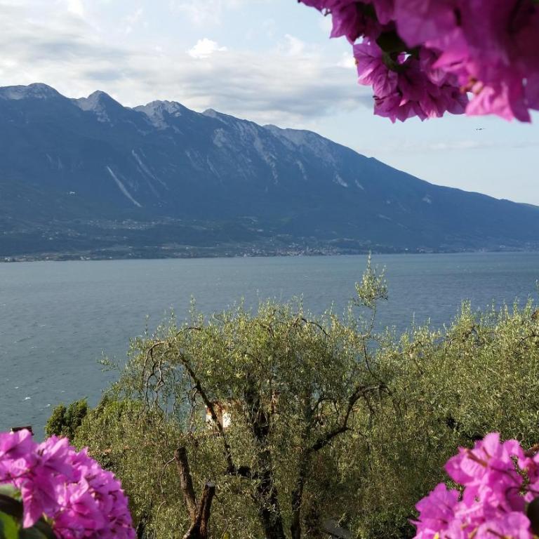 Hotel Augusta Garnì - Camera Matrimoniale/Doppia con Letti Singoli con Balcone - 20