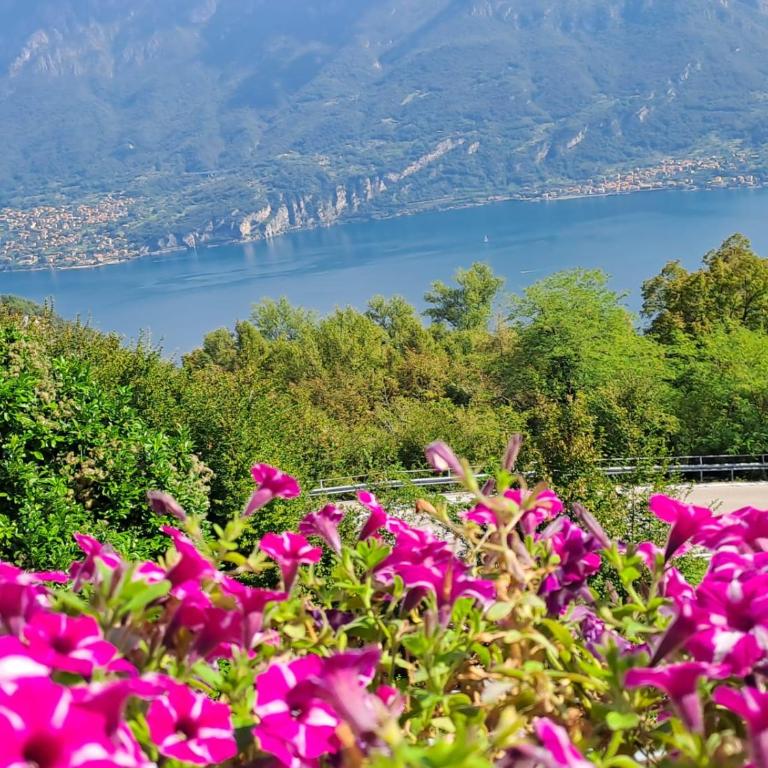 Bed & Breakfast Bellagio - Camera Matrimoniale con Vista Lago - 7