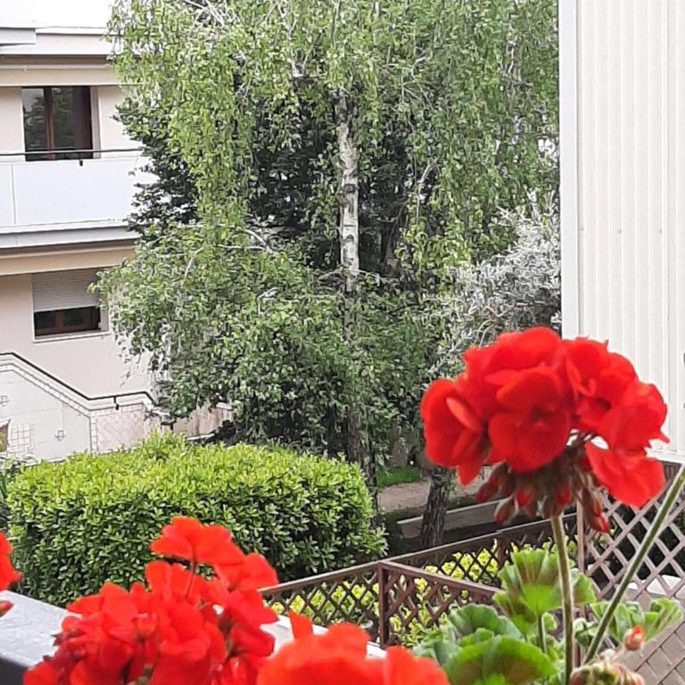 Casa Di Iana - Appartamento con 2 Camere da Letto - 8