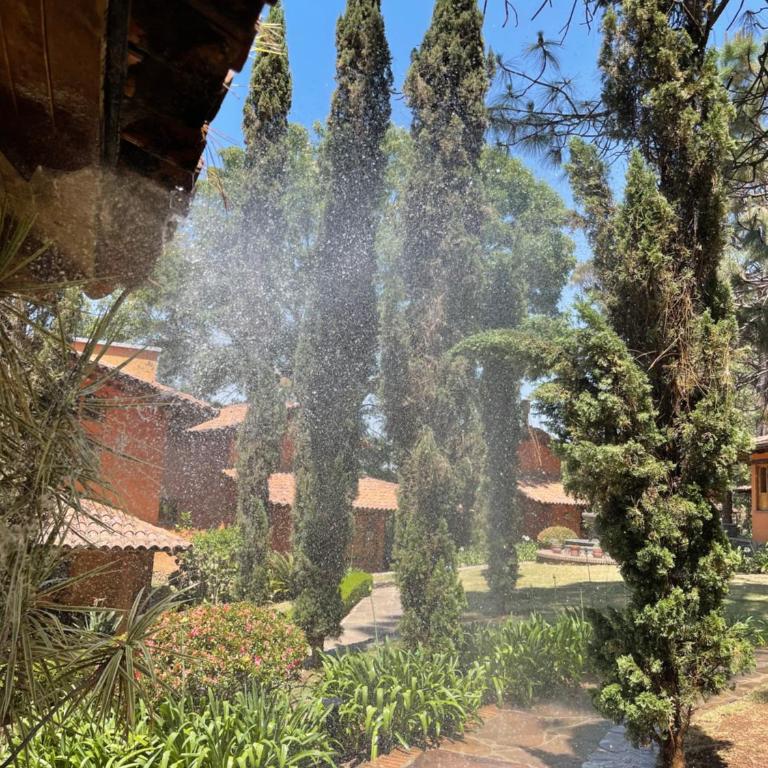 Amarilis - Villa de 2 dormitorios - 16