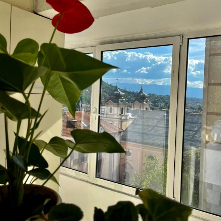 Apartments Dani Free Parking - Apartman sa 2 Spavaće Sobe i Pogledom na Grad - 21