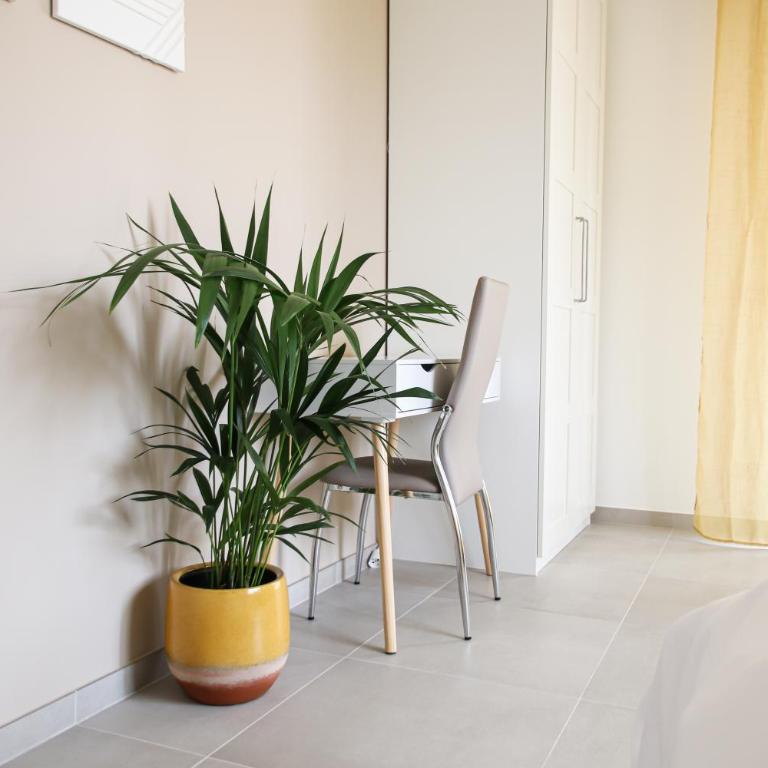 Casa Febo, in centro con parcheggio privato a 200 mt dal mare - Appartamento con Balcone - 8