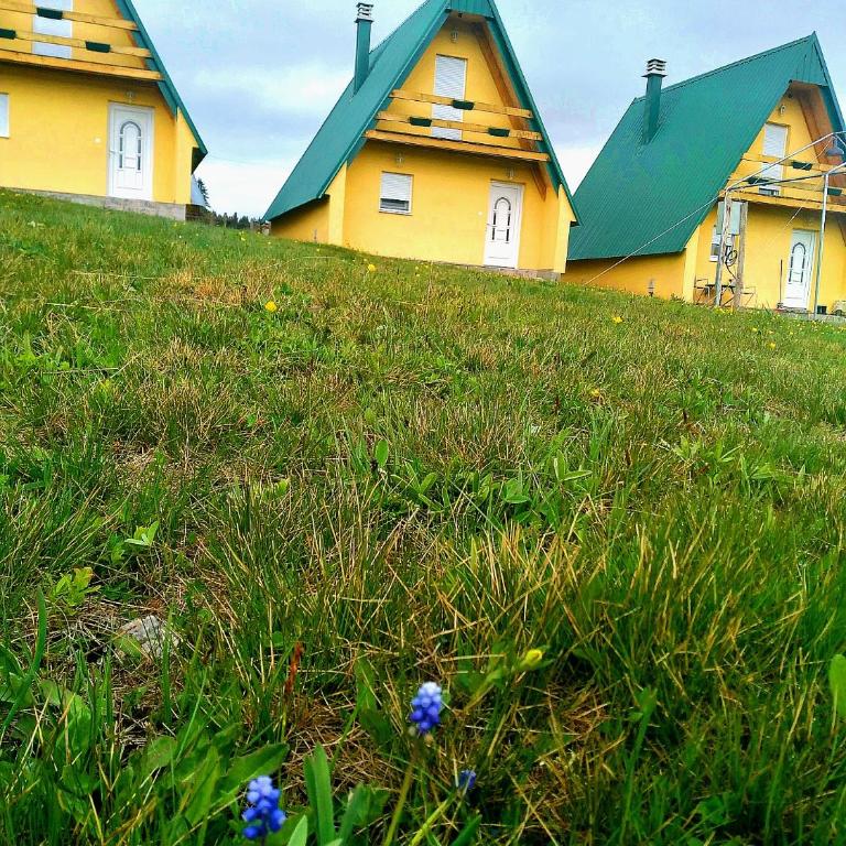 D&N place - Two-Bedroom House - 21