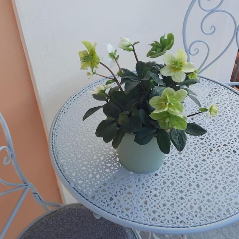 Cuore di Alba Charming Apartment - Appartamento con 2 Camere da Letto - 12