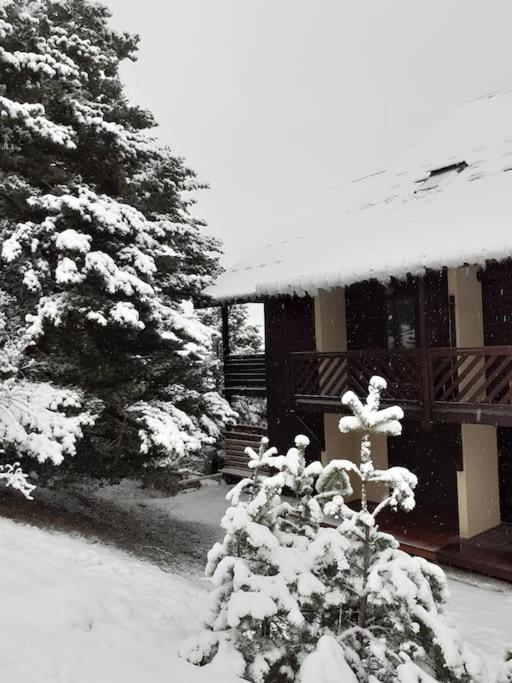 Le duplex de Dana, Gresse en Vercors, Alpes du Nord, classement 3 étoiles par Atout France - Maisonette-Apartment - 2