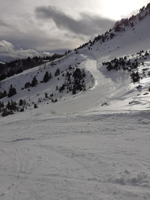 Le duplex de Dana, Gresse en Vercors, Alpes du Nord, classement 3 étoiles par Atout France - Maisonette-Apartment - 20