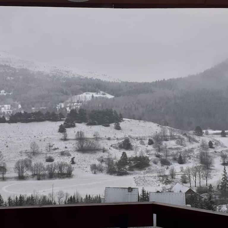 Le duplex de Dana, Gresse en Vercors, Alpes du Nord, classement 3 étoiles par Atout France - Maisonette-Apartment - 23