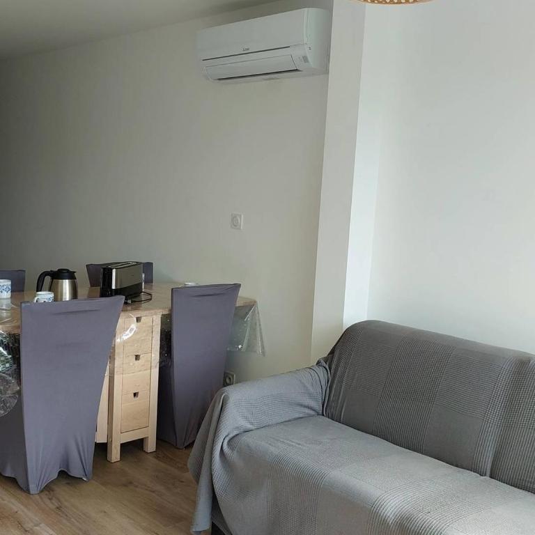 Studio Cabine Rénové Proche Plage, Commerces, Clim, WIFI, Parking - FR-1-328-230 - Studio - 6