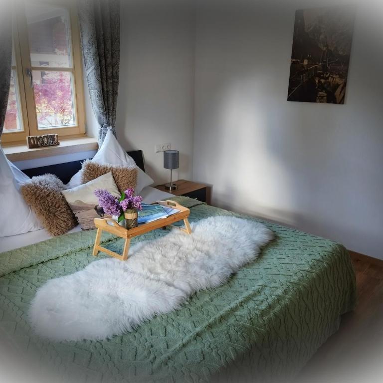 Ferienwohnungen Franz Hofreiter - One-Bedroom Apartment - 2