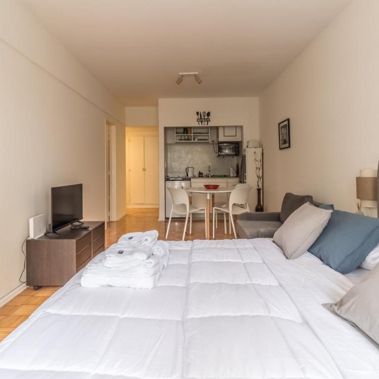 Hermoso y cómodo departamento en Palermo Recoleta, para dos o tres personas - Apartamento de 1 dormitorio - 1