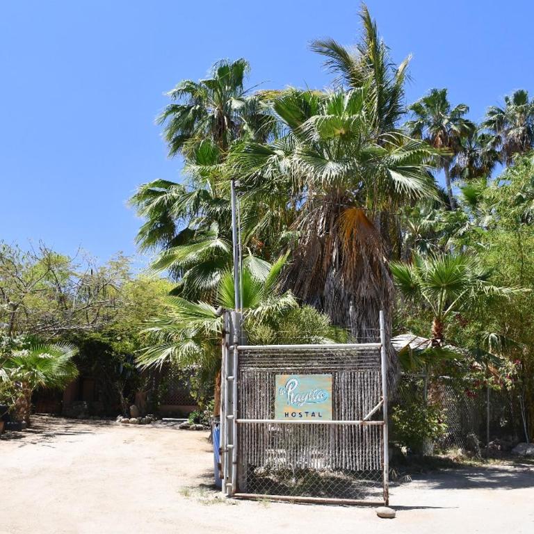 La Playita Hostal - Deluxe Double Room with Extra Bed - 8