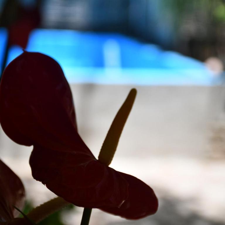 La Playita Hostal - Deluxe Double Room with Extra Bed - 7