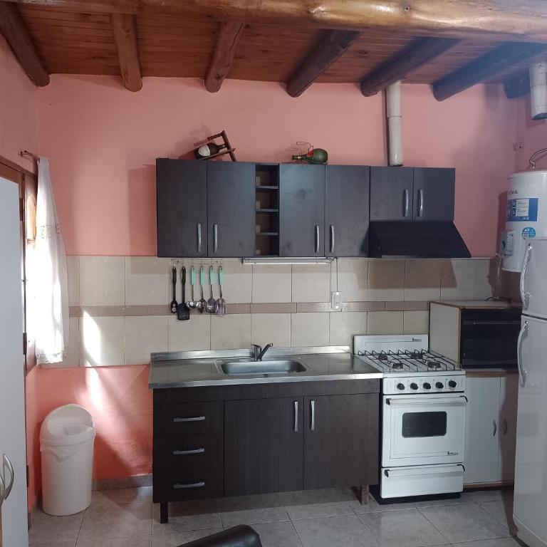 Hospedaje Cabaña Lemos TUNUYAN - Apartamento - 4