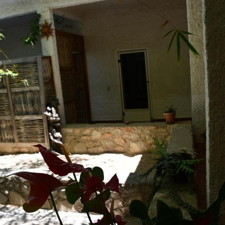 La Playita Hostal - Deluxe Double Room with Extra Bed - 6
