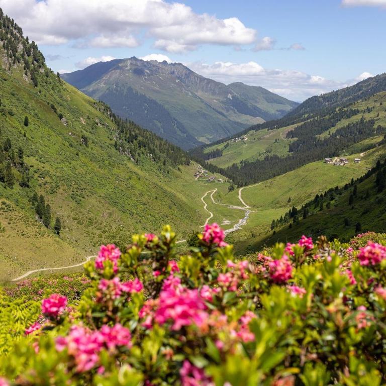Chalet in Zillertal near Ski Slopes - Ferienhaus mit 8 Schlafzimmern - 21