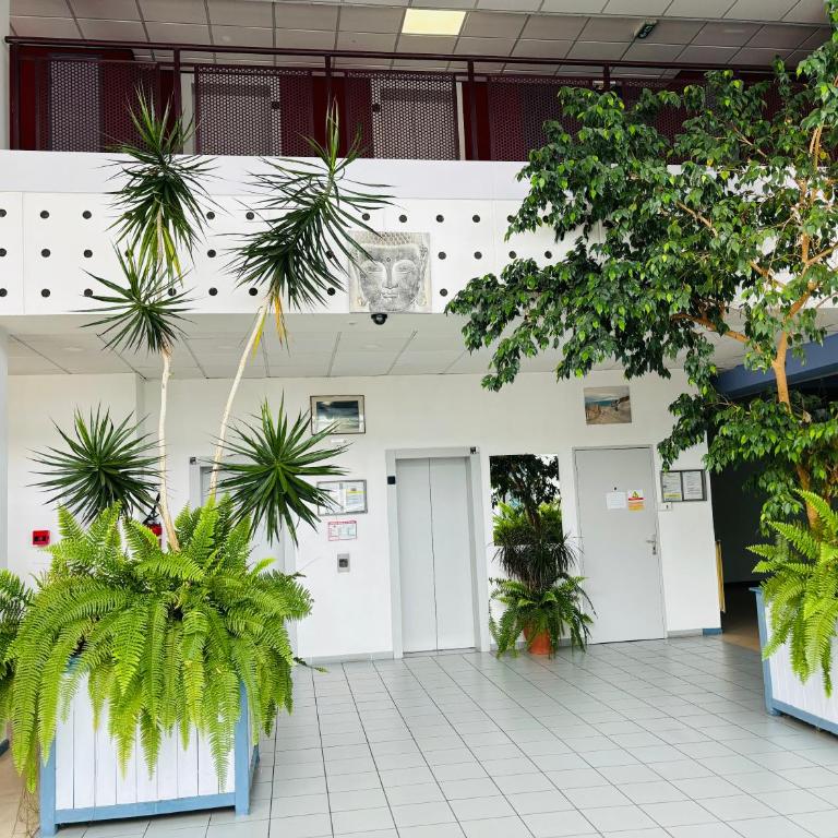 Studio calais la plage - Studio - 12