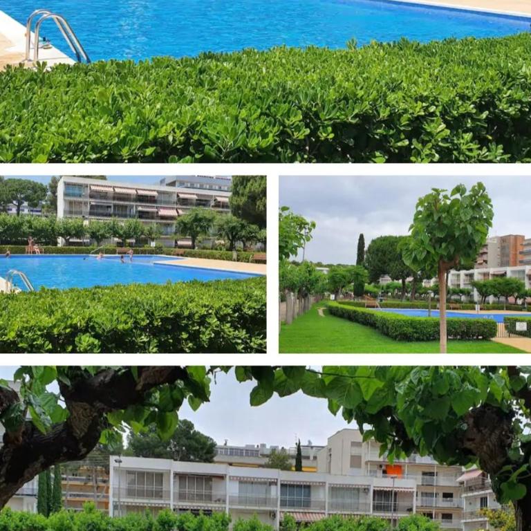 Apartamento Pitarra cerca de Portaventura - Apartamento de 2 dormitorios - 1