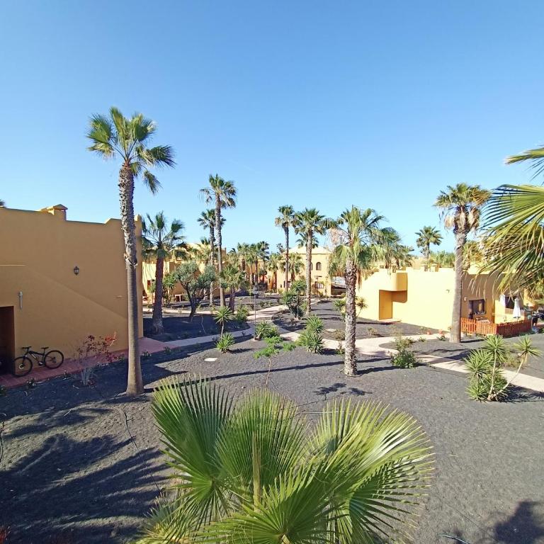 Oasis Papagayo Corralejo - Apartamento de 1 dormitorio - 6