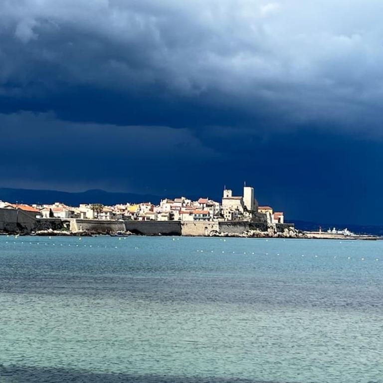 Cap D'Antibes Luxury Villa Pool Garden Beach 4 Bedrooms - Villa - 25