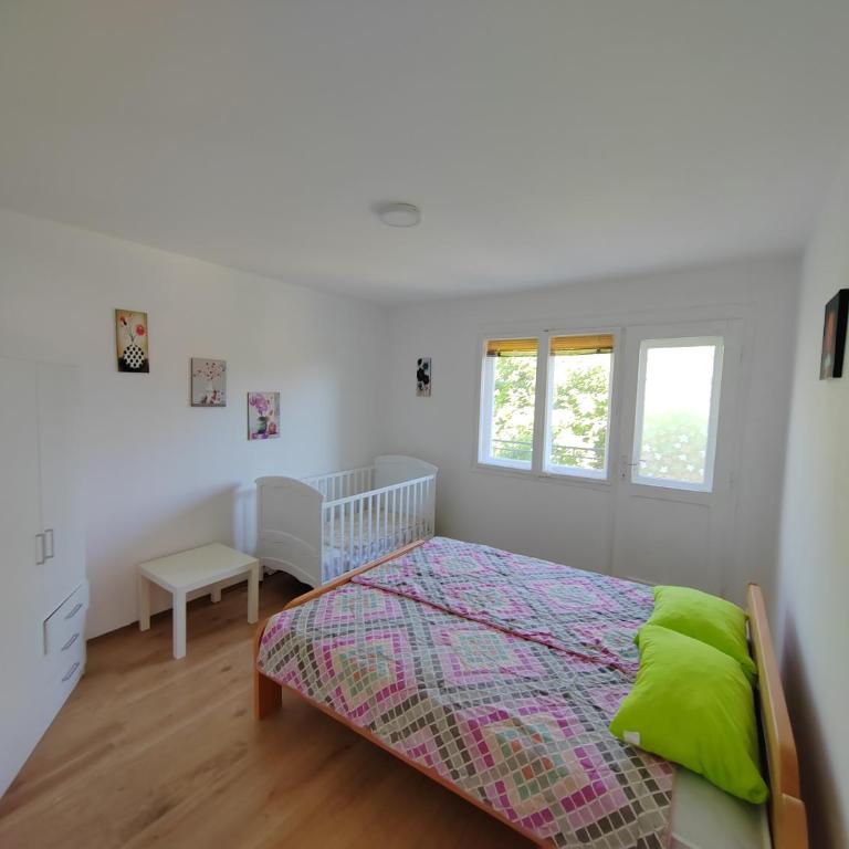 Duplex Mihajlović-Vrnjačka Banja - Apartman sa 2 Spavaće Sobe - 9