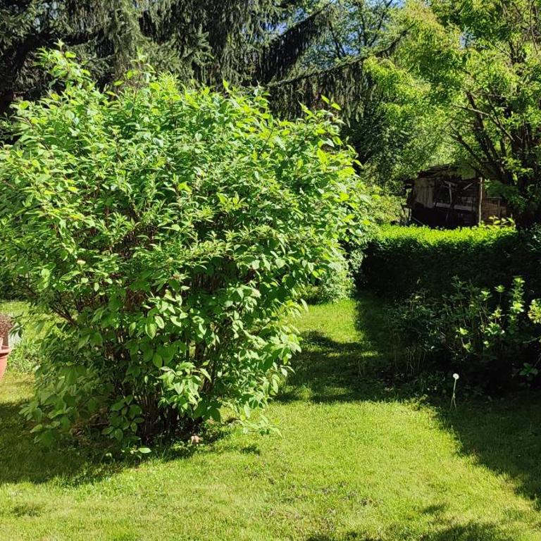 Garden House - Kuća sa 4 Spavaće Sobe - 51
