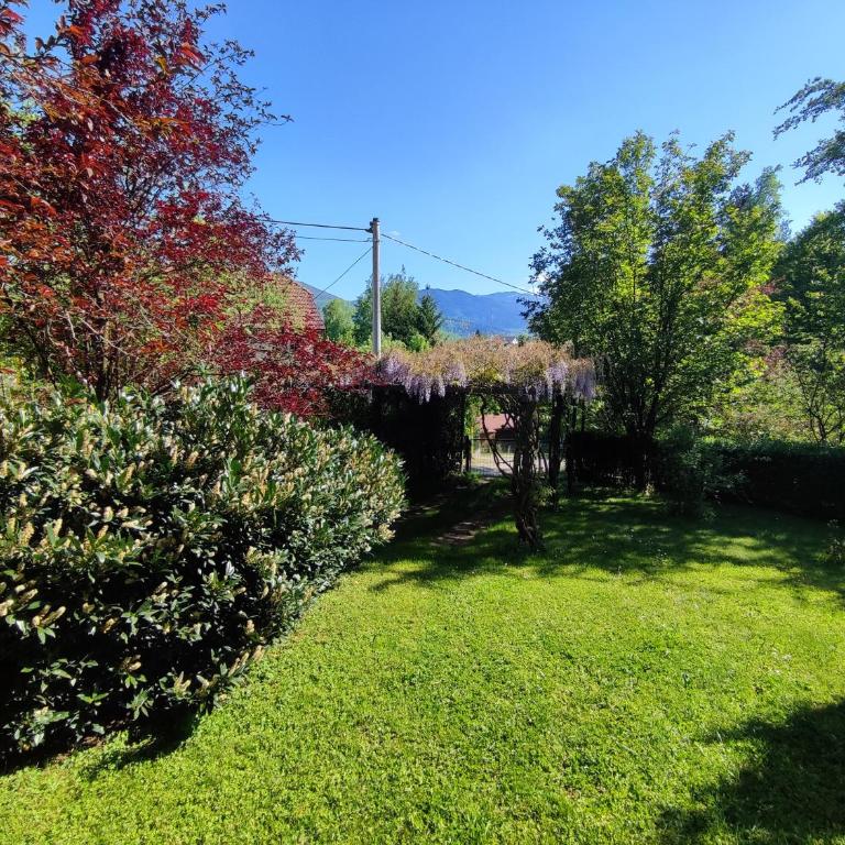 Garden House - Kuća sa 4 Spavaće Sobe - 50
