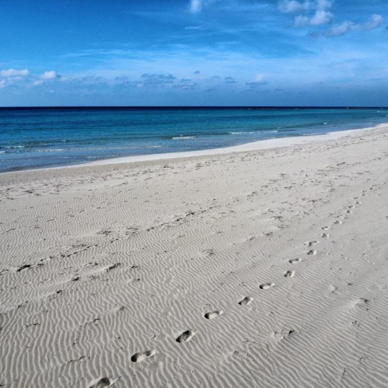 Home La Casa Gialla vicino le spiagge sabbiose - Appartamento con 3 Camere da Letto - 24